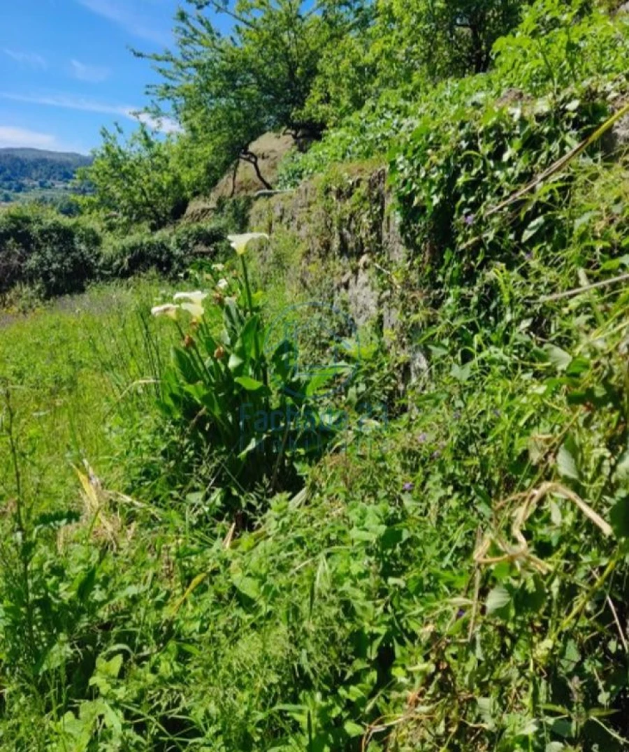 Terreno para Venda em Mozelos Foto 14