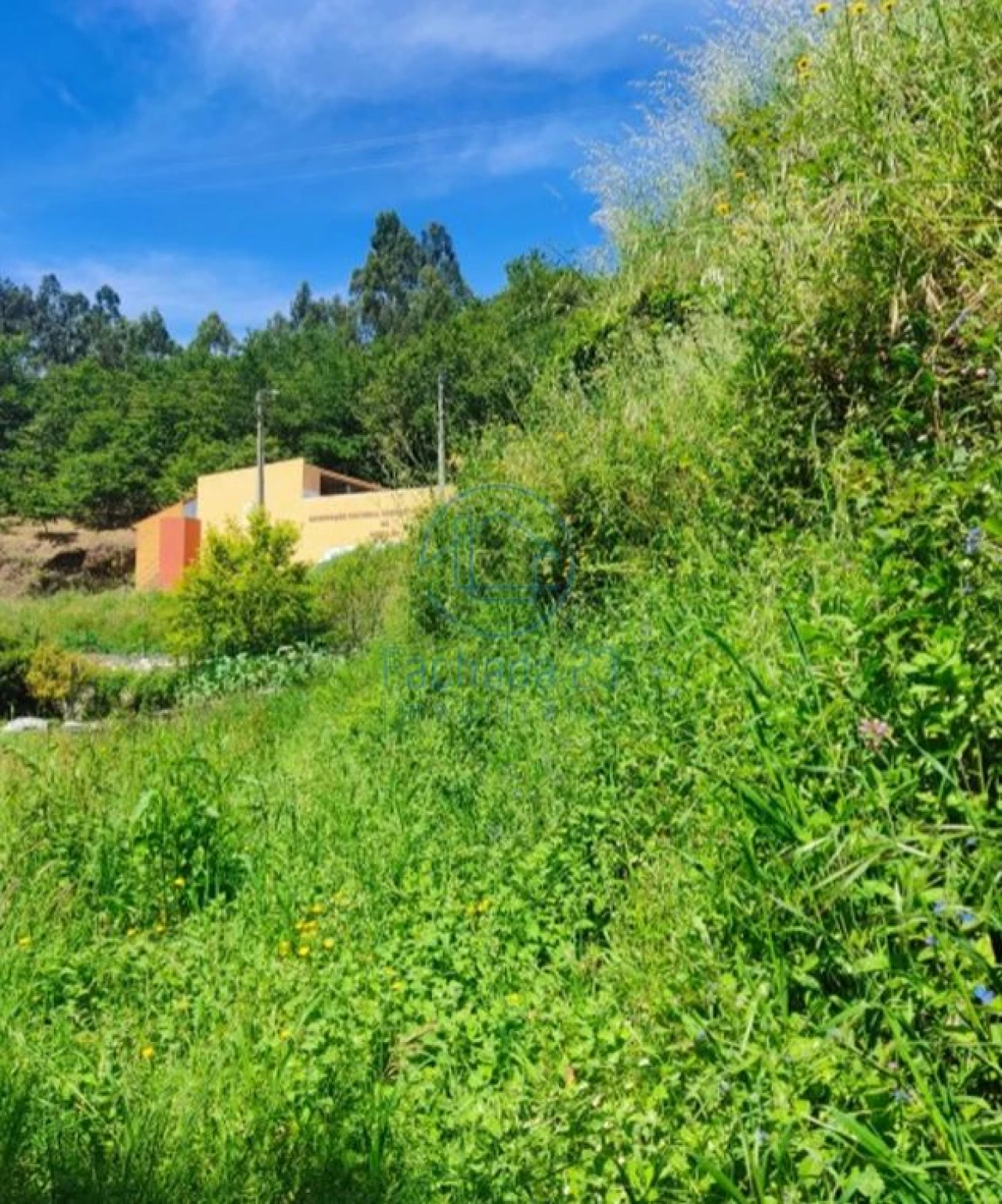 Terreno para Venda em Mozelos Foto 11