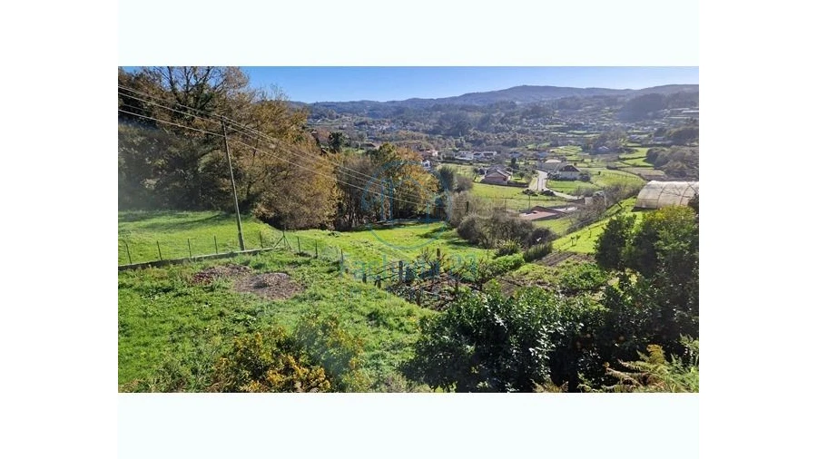 Terreno para Venda em Mozelos