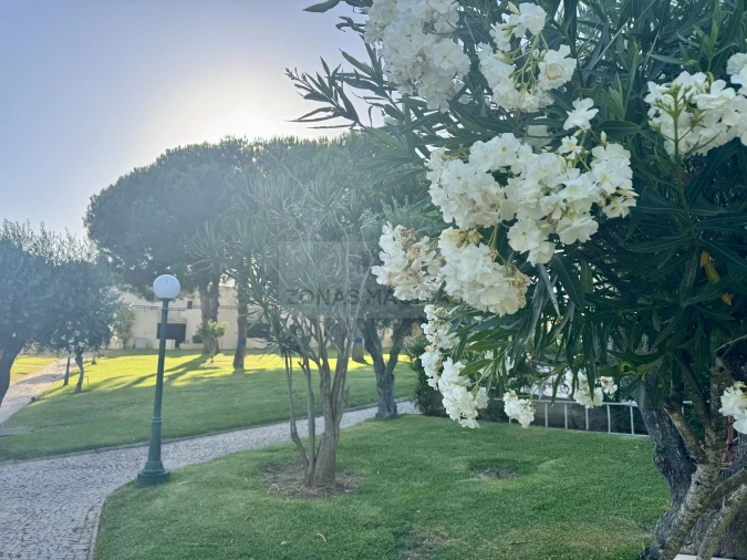 Apartamento T1 para Venda em Alvor Foto 20