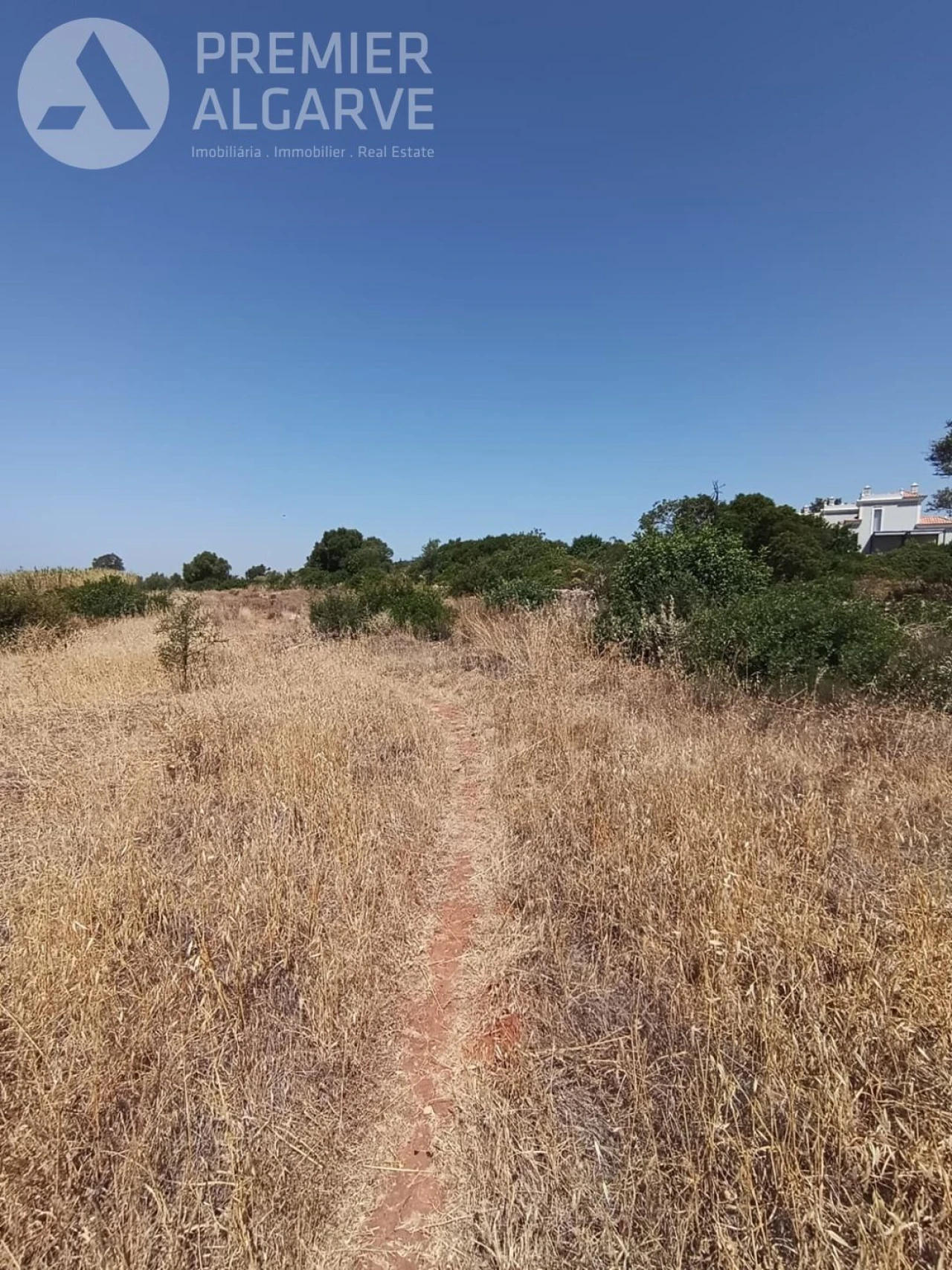 Terreno para Venda em Almancil Foto 22