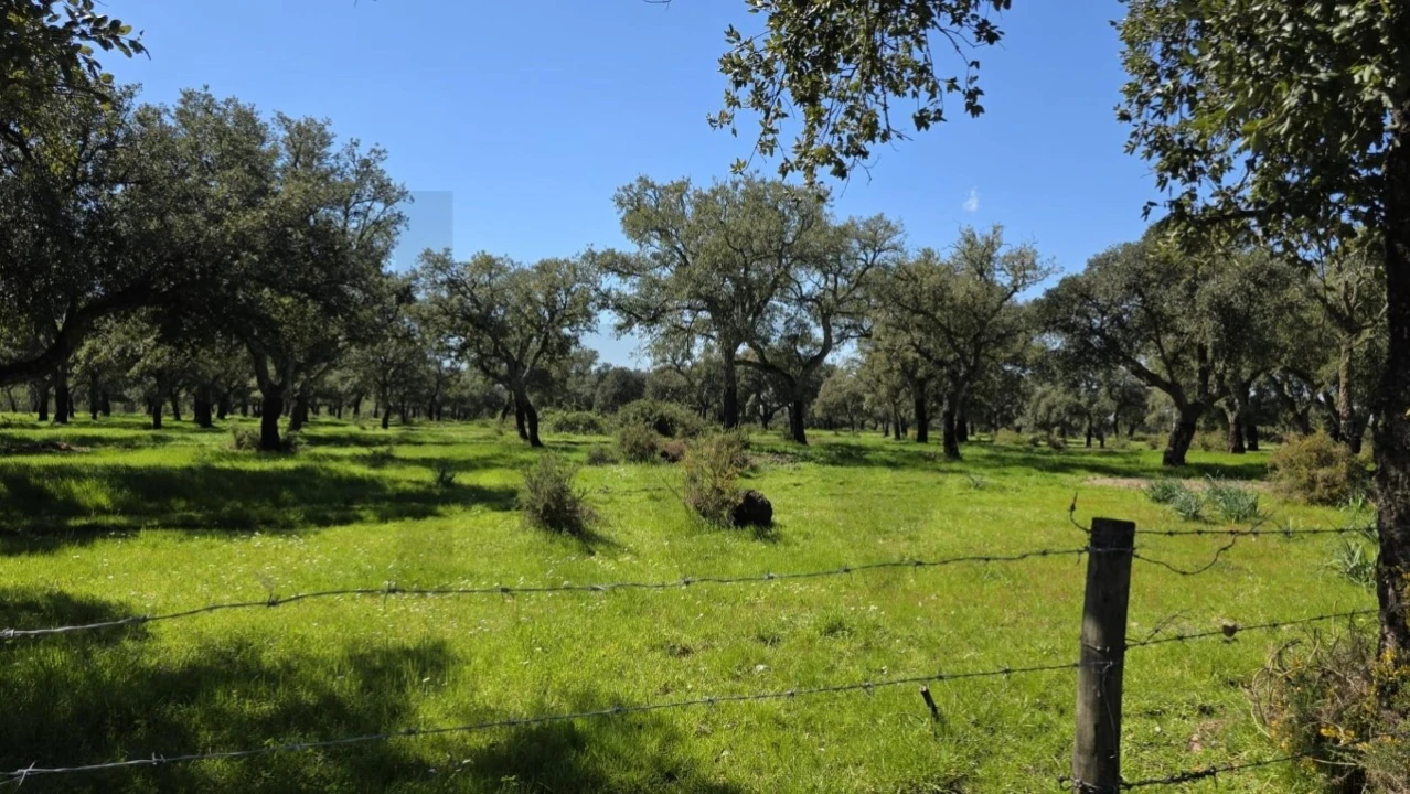 Quinta T4 para Venda em Benavente Foto 13