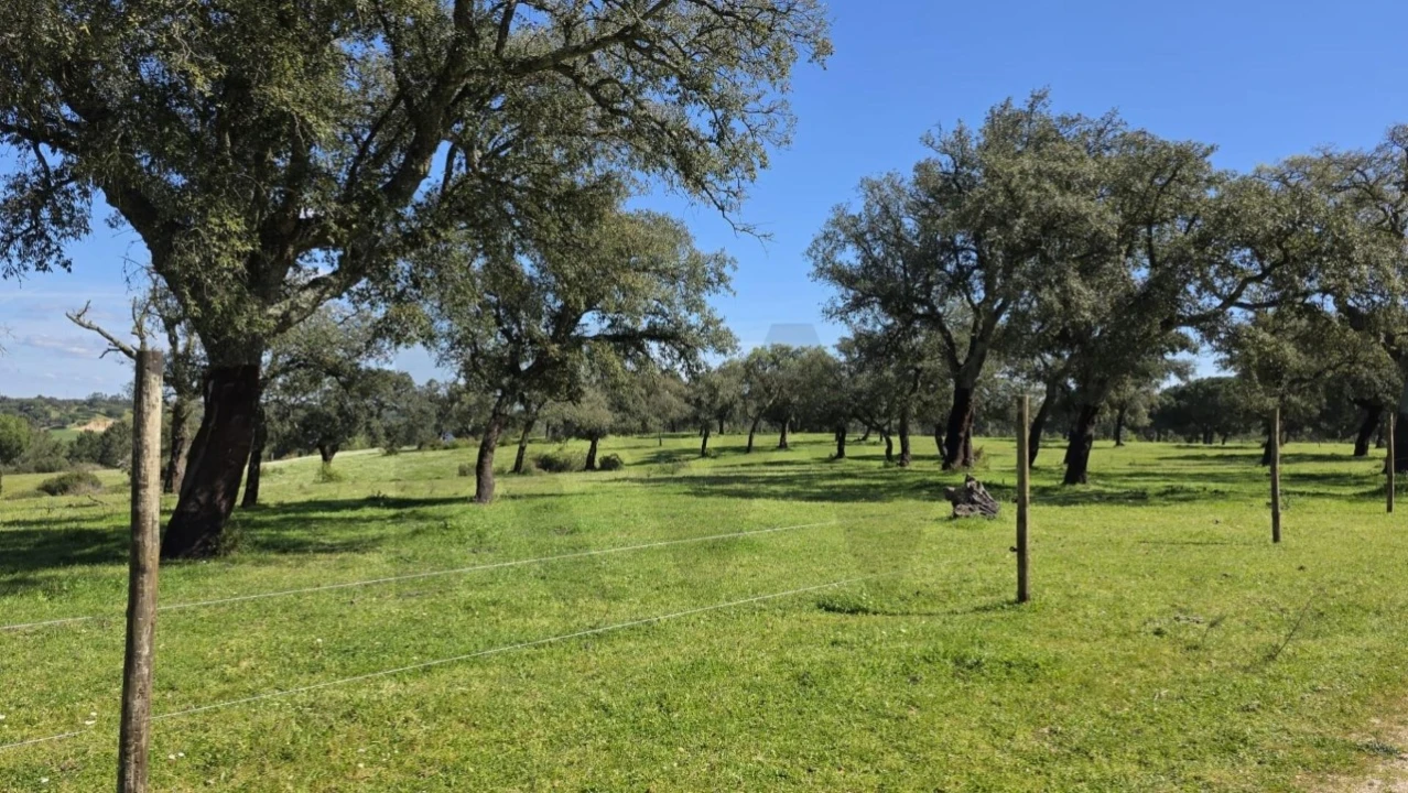 Quinta T4 para Venda em Benavente Foto 17