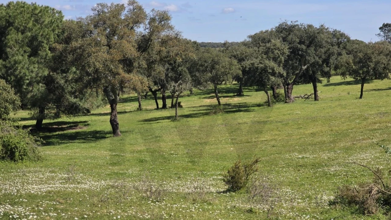 Quinta T4 para Venda em Benavente Foto 19