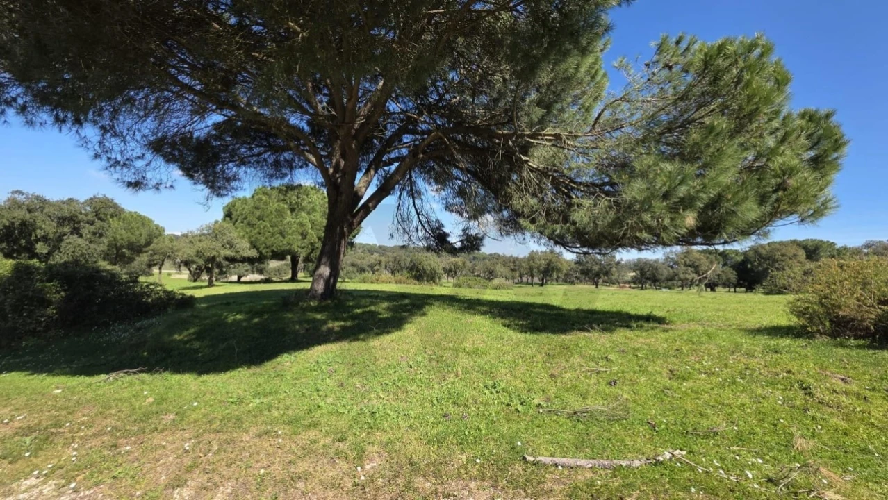 Quinta T4 para Venda em Benavente Foto 20