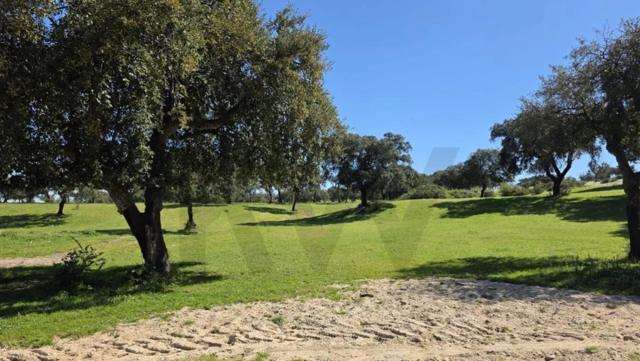 Quinta T4 para Venda em Benavente Foto 21