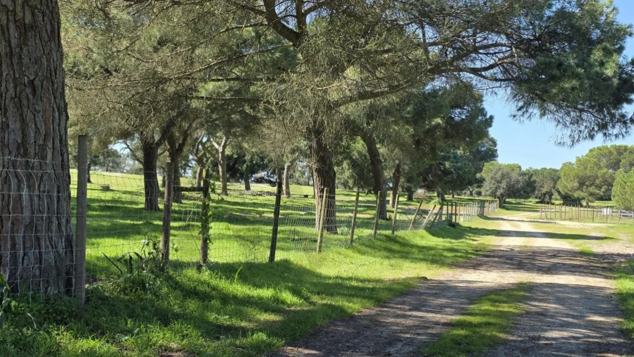 Quinta T4 para Venda em Benavente Foto 23