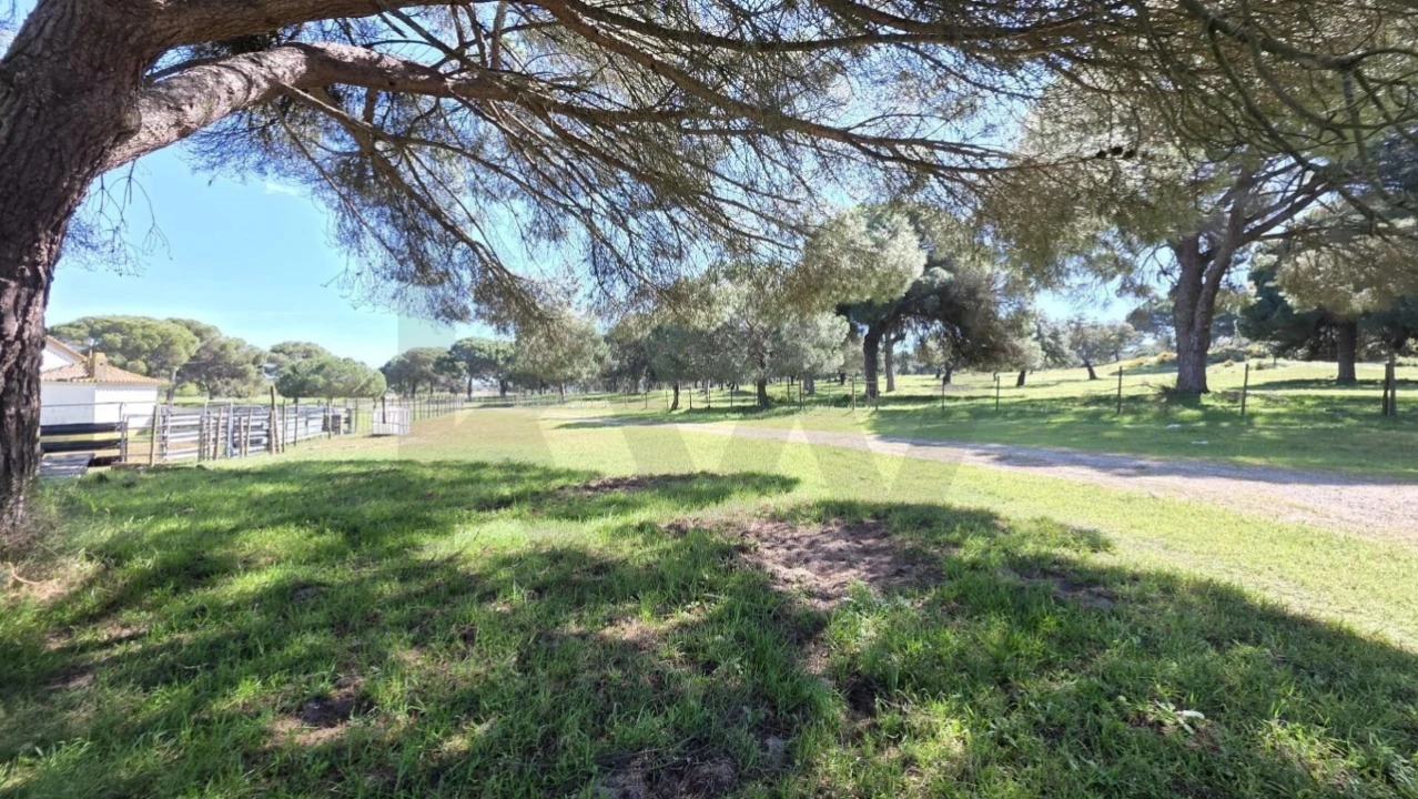 Quinta T4 para Venda em Benavente Foto 27