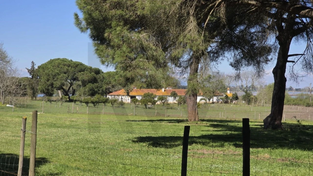 Quinta T4 para Venda em Benavente Foto 38