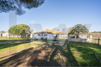 Quinta T4 para Venda em Benavente
