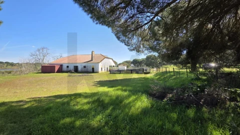 Quinta T4 para Venda em Benavente
