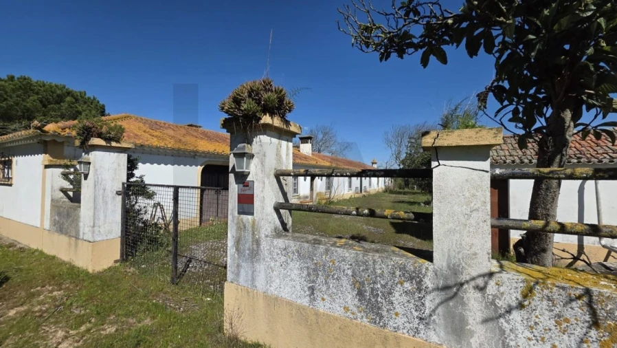 Quinta T4 para Venda em Benavente Foto 29