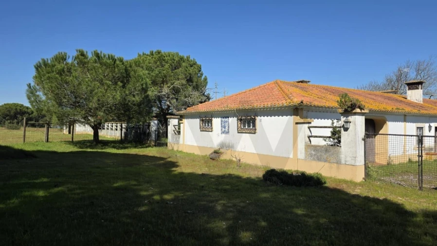 Quinta T4 para Venda em Benavente Foto 30