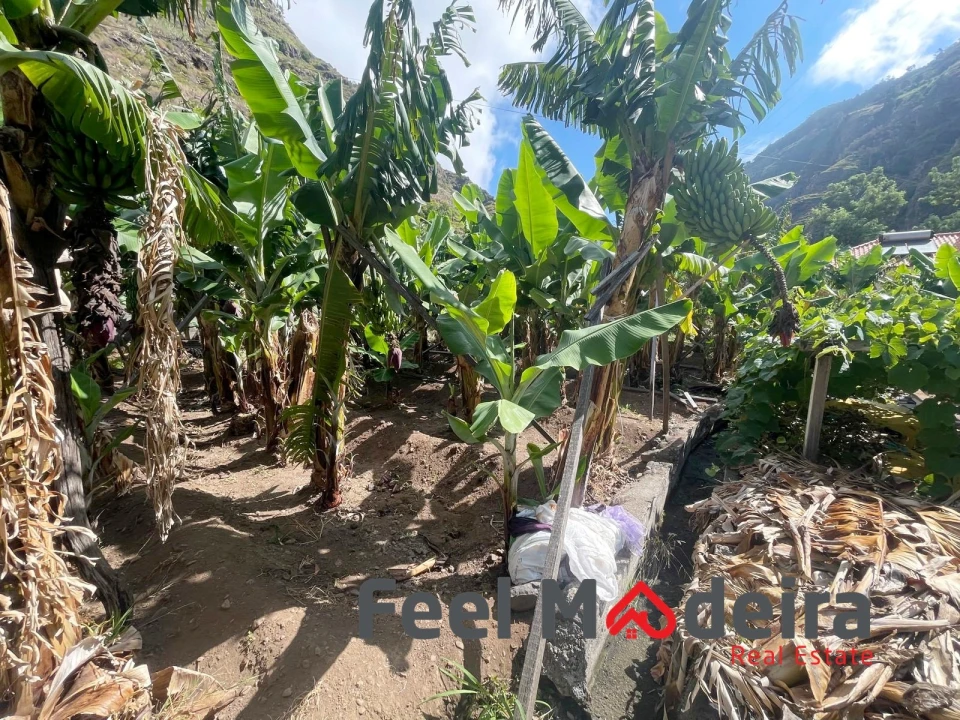 Terreno para Venda em Ribeira Brava Foto 12