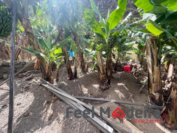 Terreno para Venda em Ribeira Brava