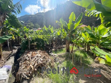 Terreno para Venda em Ribeira Brava