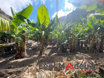 Terreno para Venda em Ribeira Brava