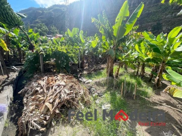 Terreno para Venda em Ribeira Brava