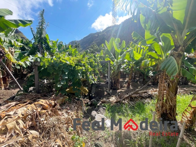 Terreno para Venda em Ribeira Brava Foto 21
