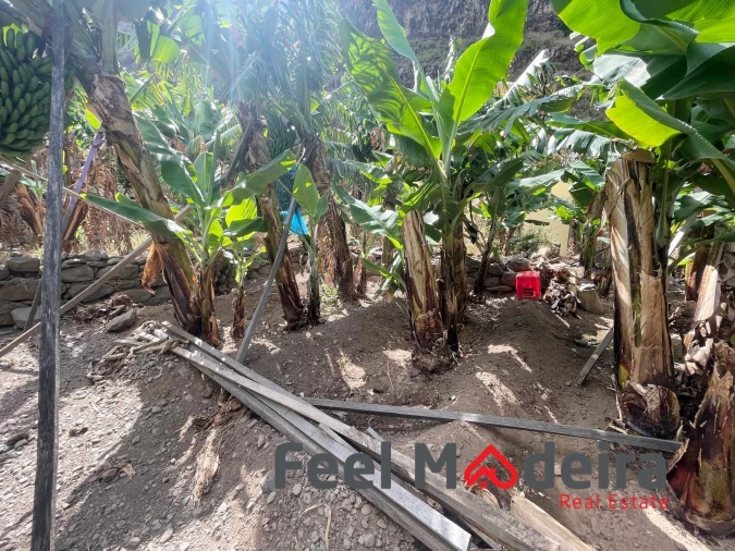 Terreno para Venda em Ribeira Brava Foto 16