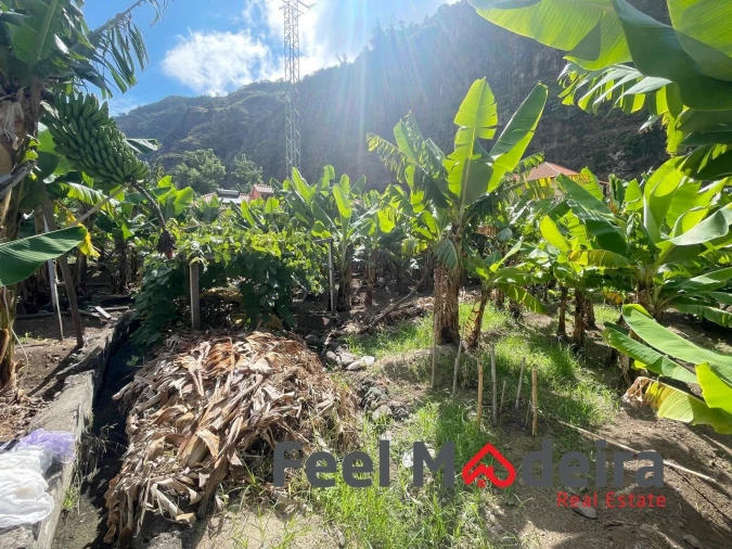 Terreno para Venda em Ribeira Brava Foto 11