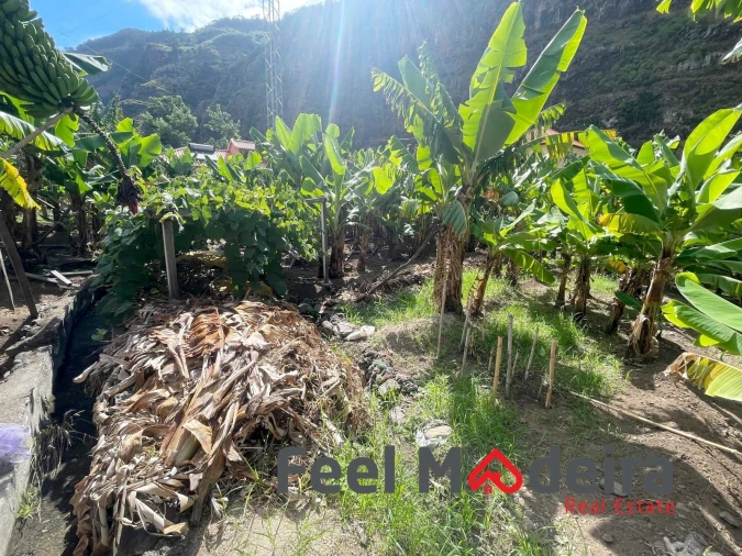 Terreno para Venda em Ribeira Brava Foto 10
