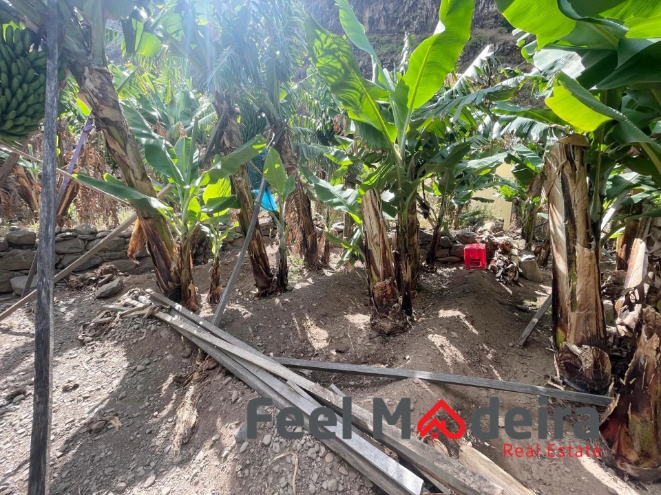 Terreno para Venda em Ribeira Brava Foto 5