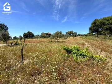 Quinta T0 para Venda em São Vicente da Beira