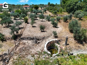 Quinta T0 para Venda em São Vicente da Beira