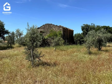 Quinta T0 para Venda em São Vicente da Beira