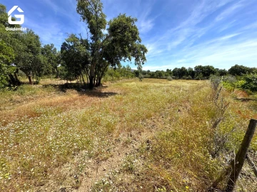 Quinta T0 para Venda em São Vicente da Beira