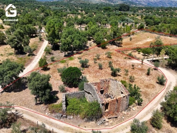 Quinta T0 para Venda em São Vicente da Beira