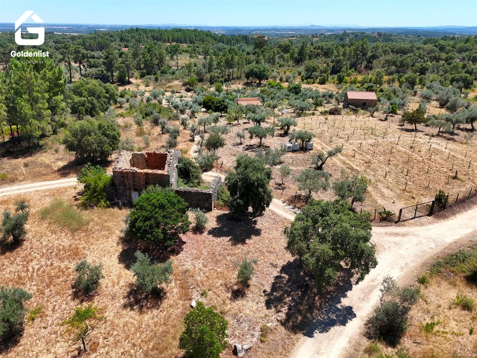 Quinta T0 para Venda em São Vicente da Beira Foto 2