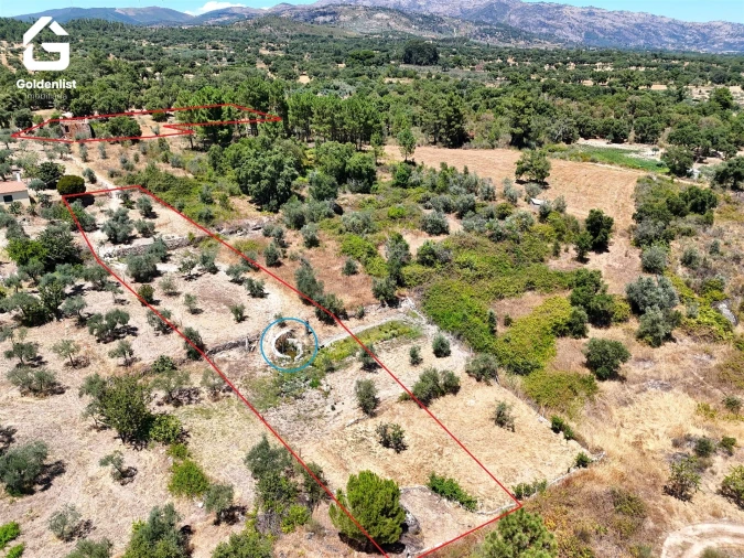 Quinta T0 para Venda em São Vicente da Beira Foto 9