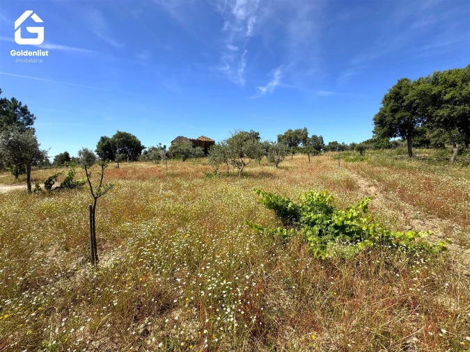 Quinta T0 para Venda em São Vicente da Beira Foto 15