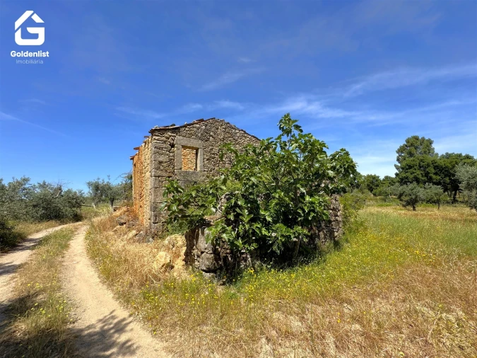 Quinta T0 para Venda em São Vicente da Beira Foto 19