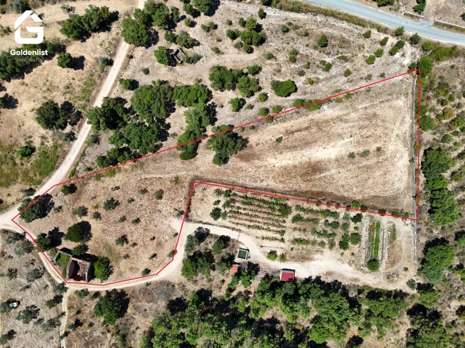 Quinta T0 para Venda em São Vicente da Beira Foto 5