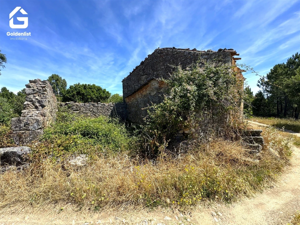 Quinta T0 para Venda em São Vicente da Beira Foto 22