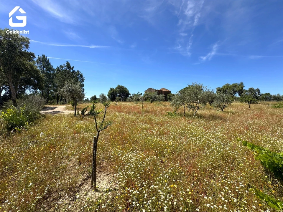 Quinta T0 para Venda em São Vicente da Beira Foto 16