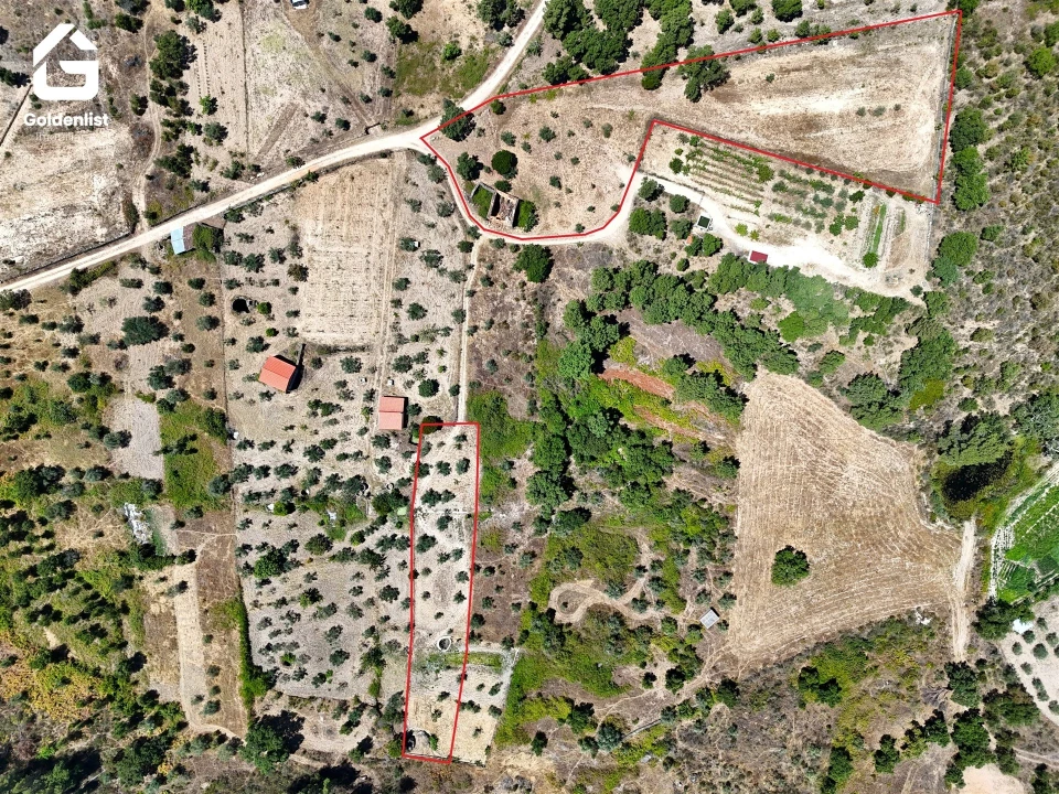 Quinta T0 para Venda em São Vicente da Beira Foto 6