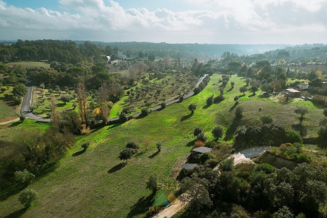 Quinta T20 para Venda em Torres Novas (Santa Maria, Salvador e Santiago) Foto 1