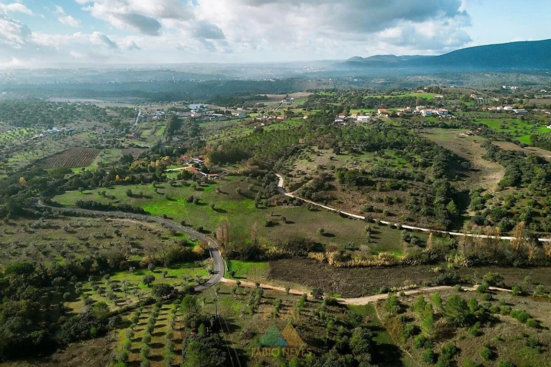 Quinta T20 para Venda em Torres Novas (Santa Maria, Salvador e Santiago) Foto 2