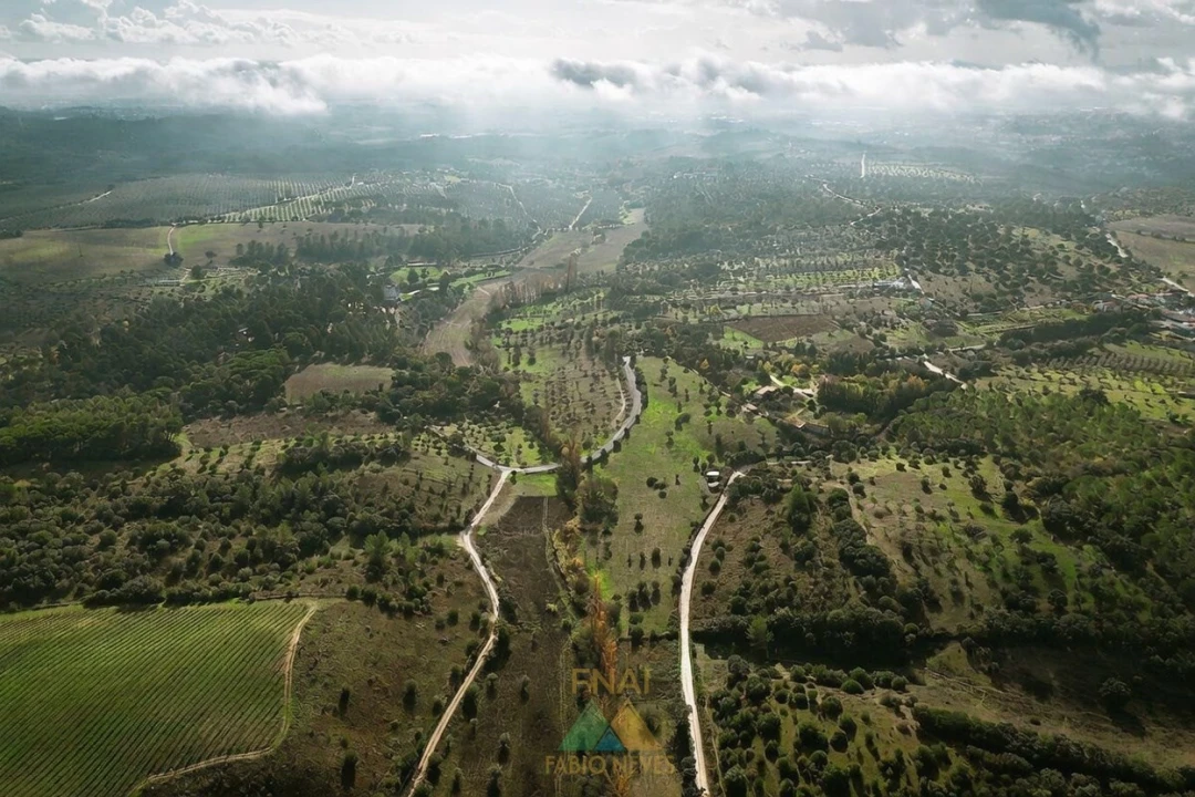 Quinta T20 para Venda em Torres Novas (Santa Maria, Salvador e Santiago) Foto 4