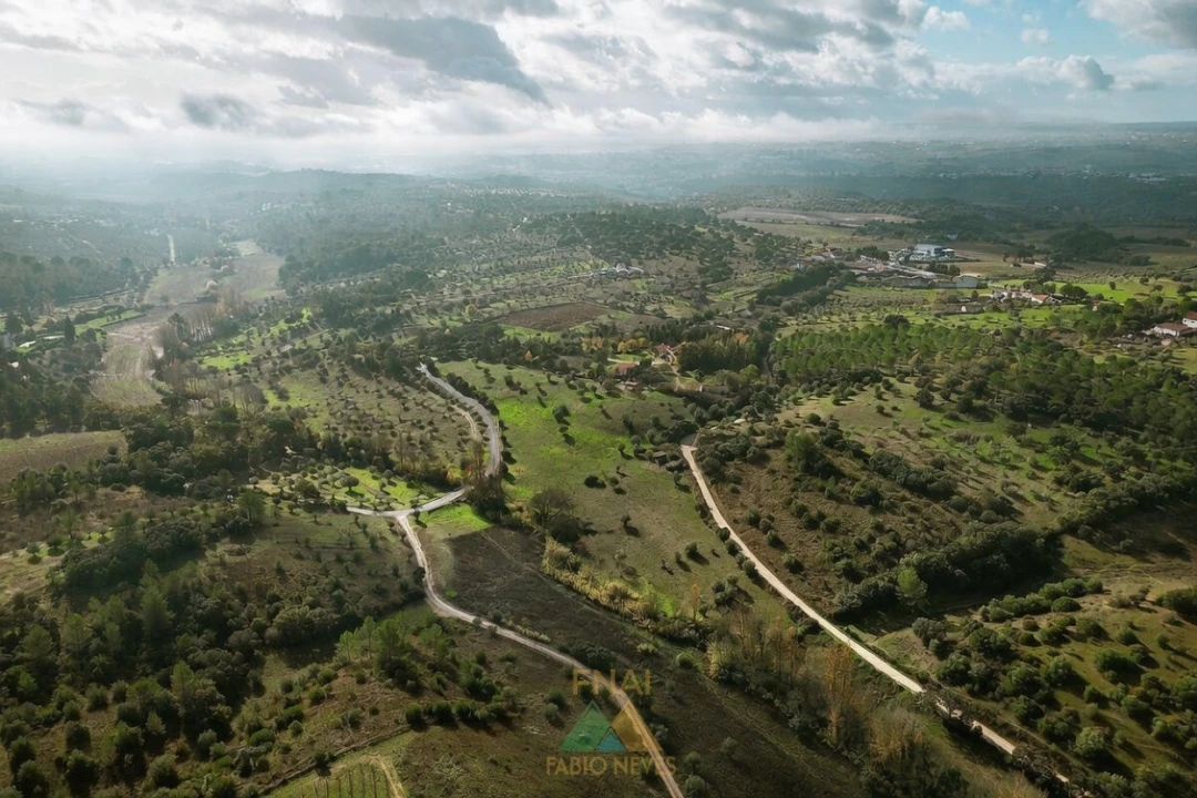 Quinta T20 para Venda em Torres Novas (Santa Maria, Salvador e Santiago) Foto 5