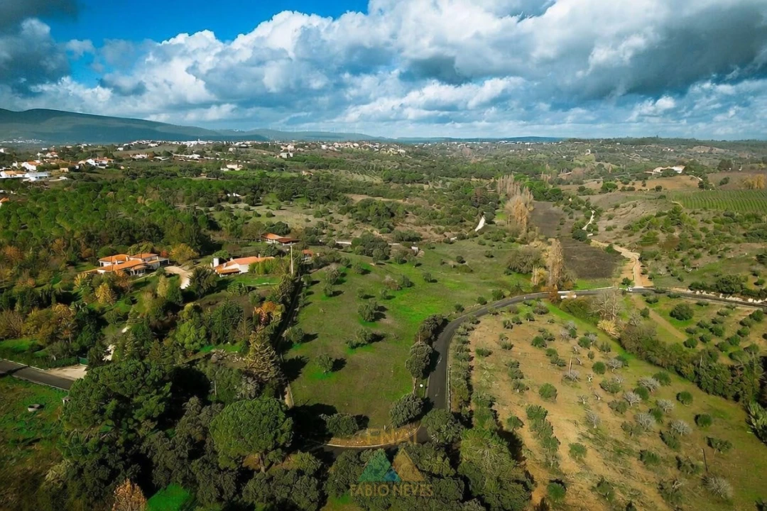 Quinta T20 para Venda em Torres Novas (Santa Maria, Salvador e Santiago) Foto 6