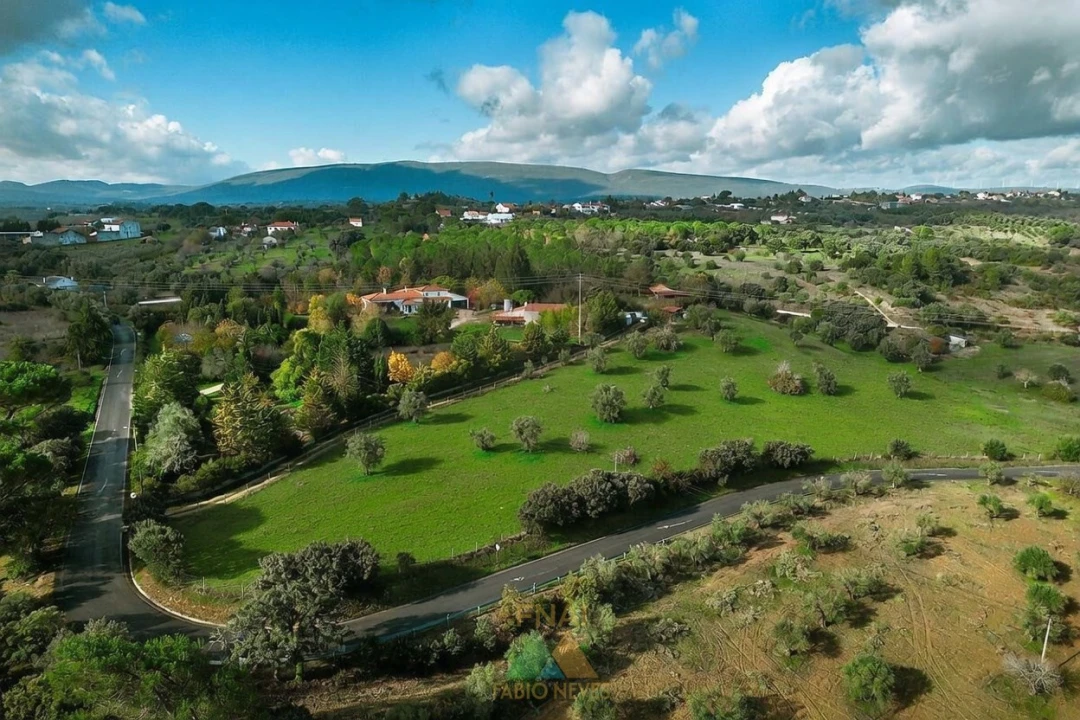 Quinta T20 para Venda em Torres Novas (Santa Maria, Salvador e Santiago) Foto 7