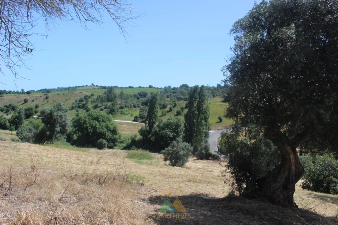 Quinta T20 para Venda em Torres Novas (Santa Maria, Salvador e Santiago) Foto 8