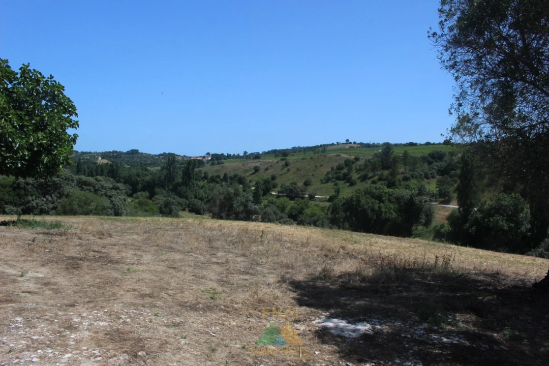 Quinta T20 para Venda em Torres Novas (Santa Maria, Salvador e Santiago) Foto 14