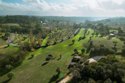 Quinta T20 para Venda em Torres Novas (Santa Maria, Salvador e Santiago)