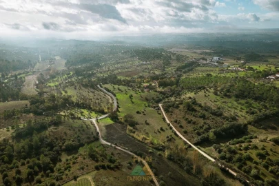 Quinta T20 para Venda em Torres Novas (Santa Maria, Salvador e Santiago)